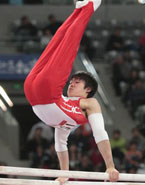 Gymnastics, parallel bars